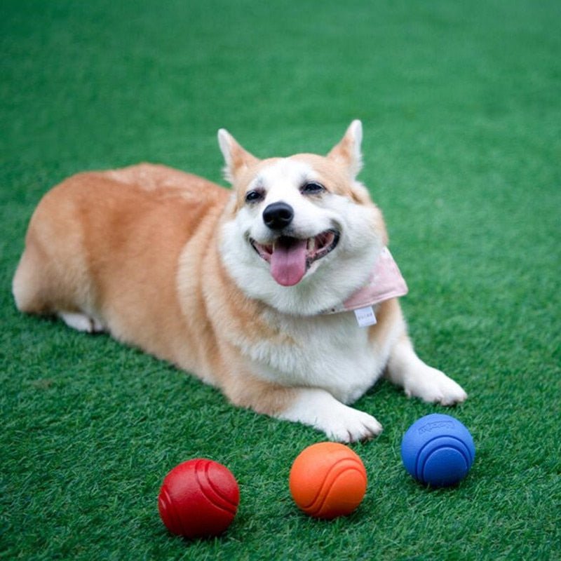 InvinciBall™ For Heavy Chewers